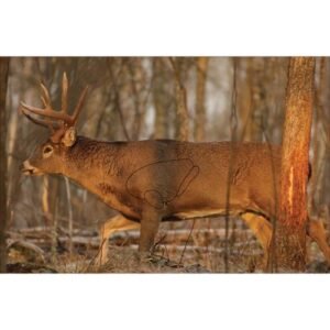 EZE-SCORER™ 23" X 35" WHITETAIL DEER PAPER TARGET