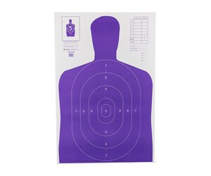 ACTION TGT HIVIS FLOR PRP B27E 100PK