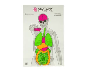ACTION TGT ANATOMY TRNG 100PK