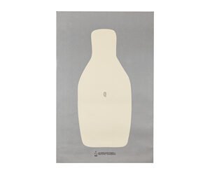 ACTION TGT STANDARD Q 100PK