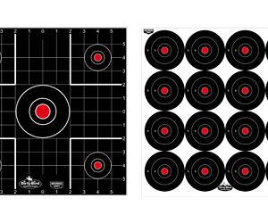 B/C DIRTY BIRD COMBO TARGETS 12PK