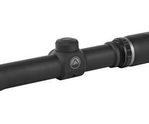 BURRIS HANDGUN 2X20 PLEX MATTE