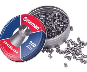 CROSMAN DESTROYER .177 POINT/DISHED