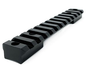 DNZ FDM RPR WIN70 SA 20MOA PIC RAIL