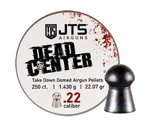 JTS .22 CAL 22GR DOMED 250CT