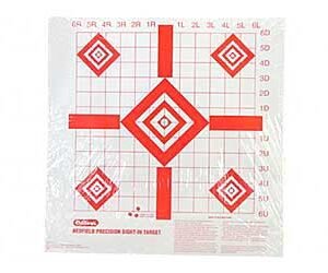 CHAMPION RF PREC SIGHT-IN TRGT 100PK