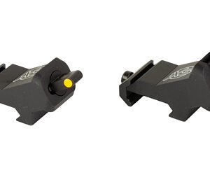 XS XTI2 DXS STANDARD DOT ORN